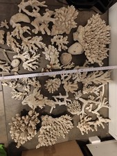 Meereskorallen natürliche Korallen private Sammlung Aquarium versteinert Fossil