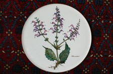 Villeroy & Boch Botanica Kuchenplatte Tortenplatte Servierteller Ø 30 cm