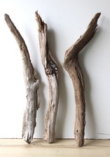 Treibholz Schwemmholz