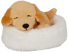 Schlafender Hund ISI im