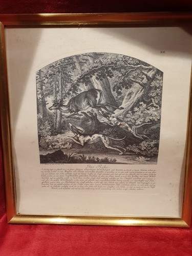 Kupferstich ridinger das - , rehe