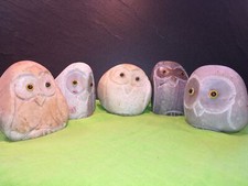 Eule - Eto Findling | Tier