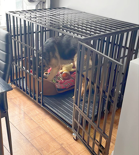 Hundekäfig mit rollen - rollen, xxl