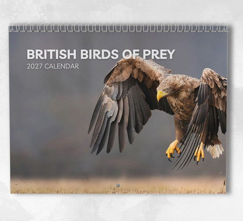 Britischer greifvogelkalender - britischer,
