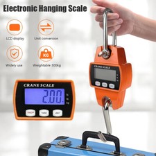 Kranwaage bis 300 kg digital