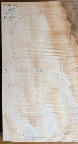 Ma2 violine einteilerboden - #ma2,