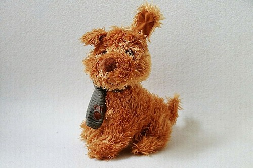 Sparkasse hund braun mit - braun, schal