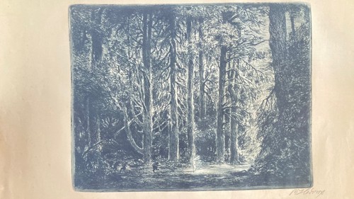 Walter herzog radierung - herzog,