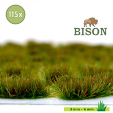 504 / Bison Gras Herbst / 115