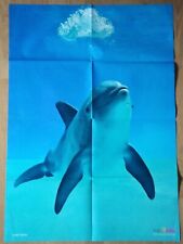 RIESEN-TIER-POSTER GROßER TÜMMLER-DELFIN A1✿Tiere aus Obst✿SchuleMedizini✿07.17