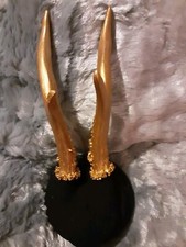 Rehgeweih  Rehbock Trophäe in