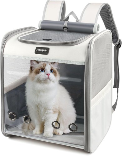 Katzenrucksack katzen hunde - katzen,