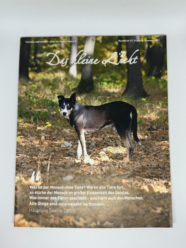 Tierhilfe hoffnung rundbrief - tierhilfe,