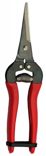 Leseschere ars 300l - leseschere,