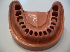 KAVO GINGIVAMASKE ZAHNFLEISCHMANSCHETTE UK MIT 8ERN Zahnmedizinstudium 