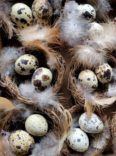 Kleine osternester nest - 6,