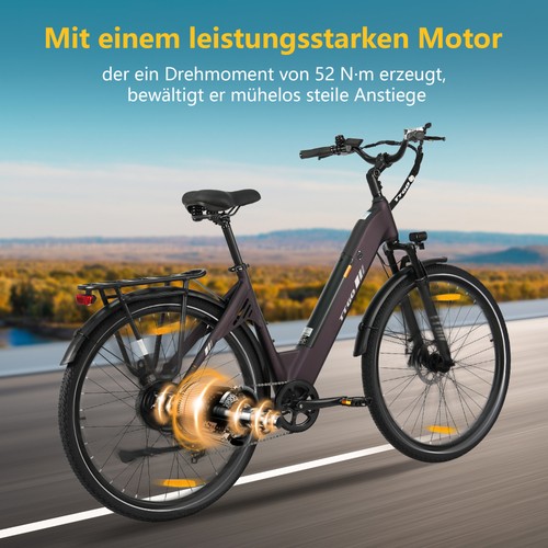 Ttgo 250w elektrofahrrad - 250w,
