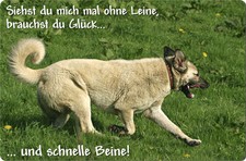 SIVAS KANGAL - A4 Alu Metall