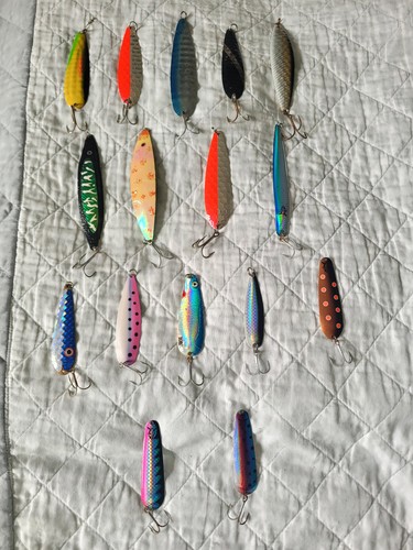 Verschiedene lachs und - 16,