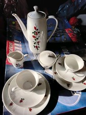 Kaffeeservice mit Zuckertopf  und  MICHKÄNCHEN  mit Rosenmuster 20 Teile