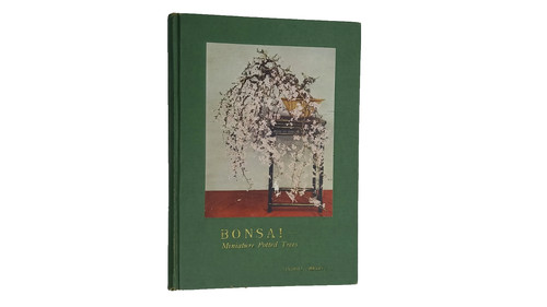 Bonsai miniatur - 📗, bonsai-miniatur