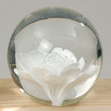Paperweight Briefbeschwerer