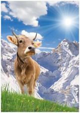 Wallario selbstklebendes