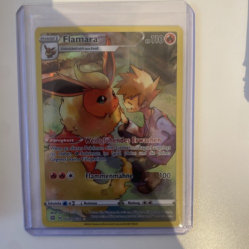 Pokemon flamara tg01 - pokemon,