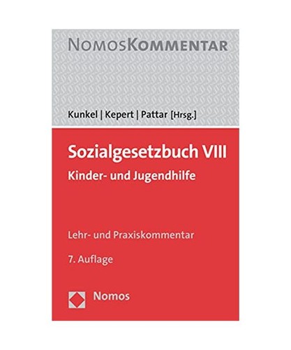 Sozialgesetzbuch viii kinder - sozialgesetzbuch, viii: