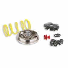 MALOSSI M517128 Variator