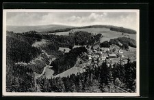 Wildenstein i. Frankenwald