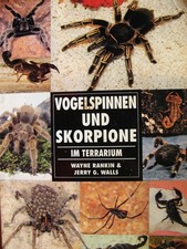 Vogelspinnen und Skorpione im Terrarium Bede Verlag