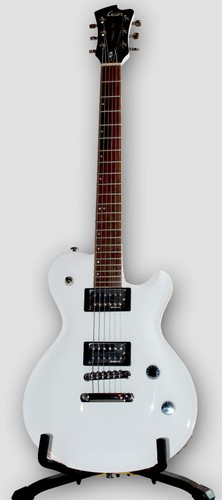 Gain fgn flame standard - fgn,