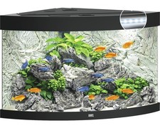 Aquarium JUWEL Trigon 190 mit LED-Beleuchtung, Filter, Heizer ohne Unterschrank 