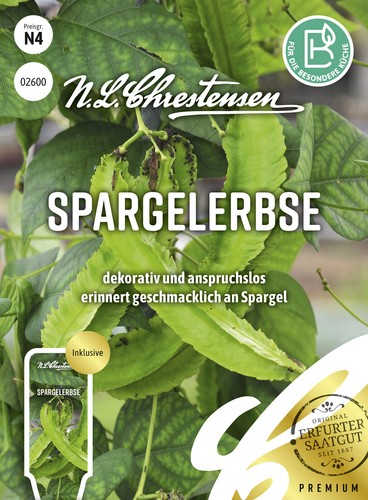Spargelerbse,dekorative