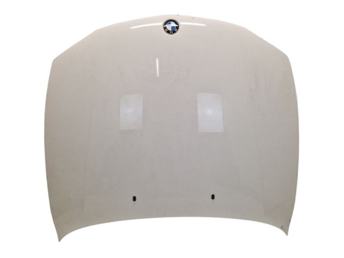 Motorhaube 300 alpinweiss - 300,
