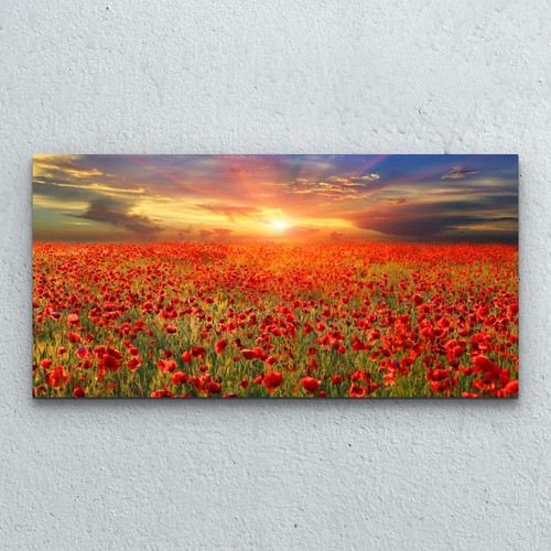 Glasbilder wandbild druck - glasbilder,
