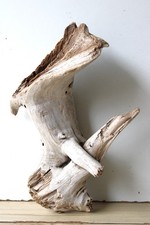 Treibholz Schwemmholz