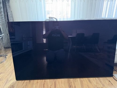 Panasonic 65hzw1004 zoll - panasonic,