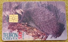 Telefonkarte Ungarn,  Igel  -