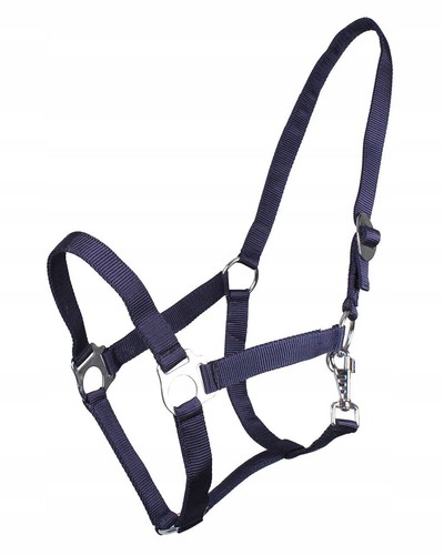 Halfter shetty fohlen pony - halfter,