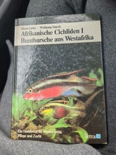 Afrikanische Cichliden I 