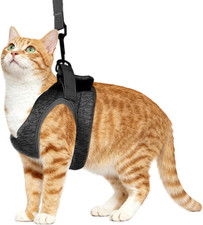 Katzenleine Mit Geschirr Für