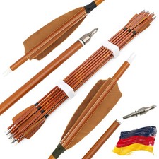 12X Carbonpfeile 30Zoll