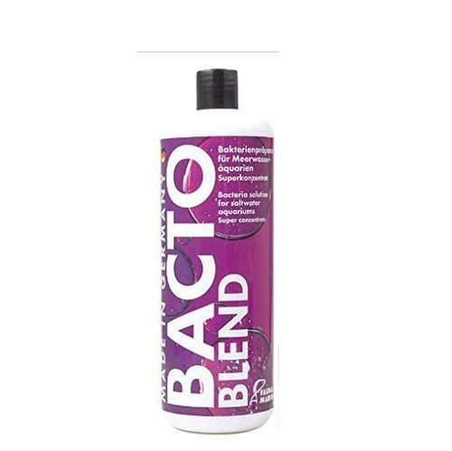 Fauna marin bacto reef - fauna,