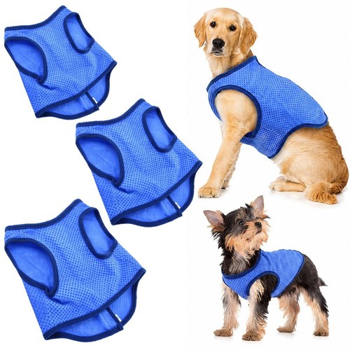 Outdoor sommer hund kühlweste - hund,
