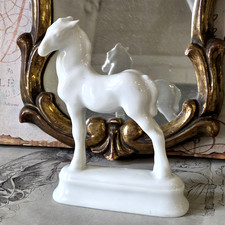Rosenthal fohlen aus - fohlen,