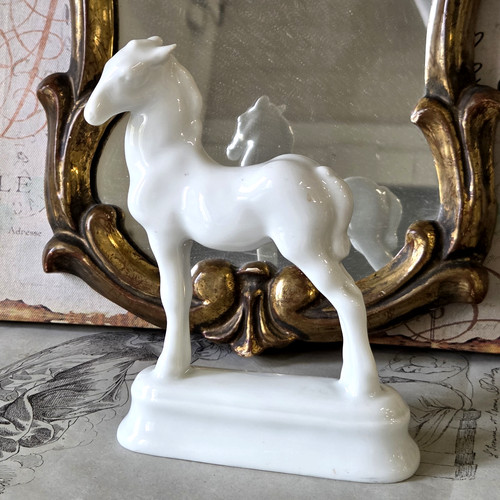 Rosenthal fohlen aus - -,