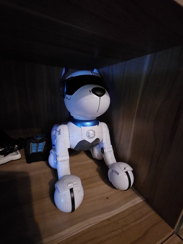 Roboter hund ferngesteuert - hund,