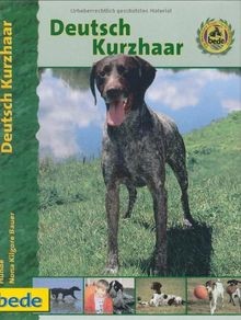 Deutsch kurzhaar - deutsch,